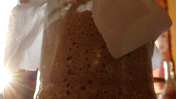 Zakwas na mące żytniej razowej (100% hydracji) Zakwas na mące żytniej razowej (100% hydracji)