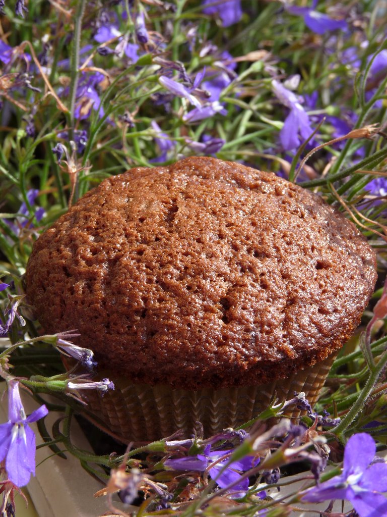 Muffiny czekoladowe